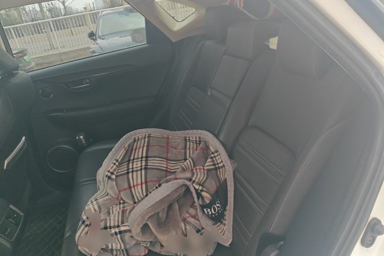 Used Lexus NX 2018 200 All-Wheel Drive Fēngshàng Version China V Standard