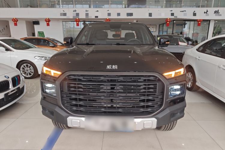 Used RELY Venucia R08 2025 Model 2.3T 8AT 2WD Diesel Long Box Trail Edition Front