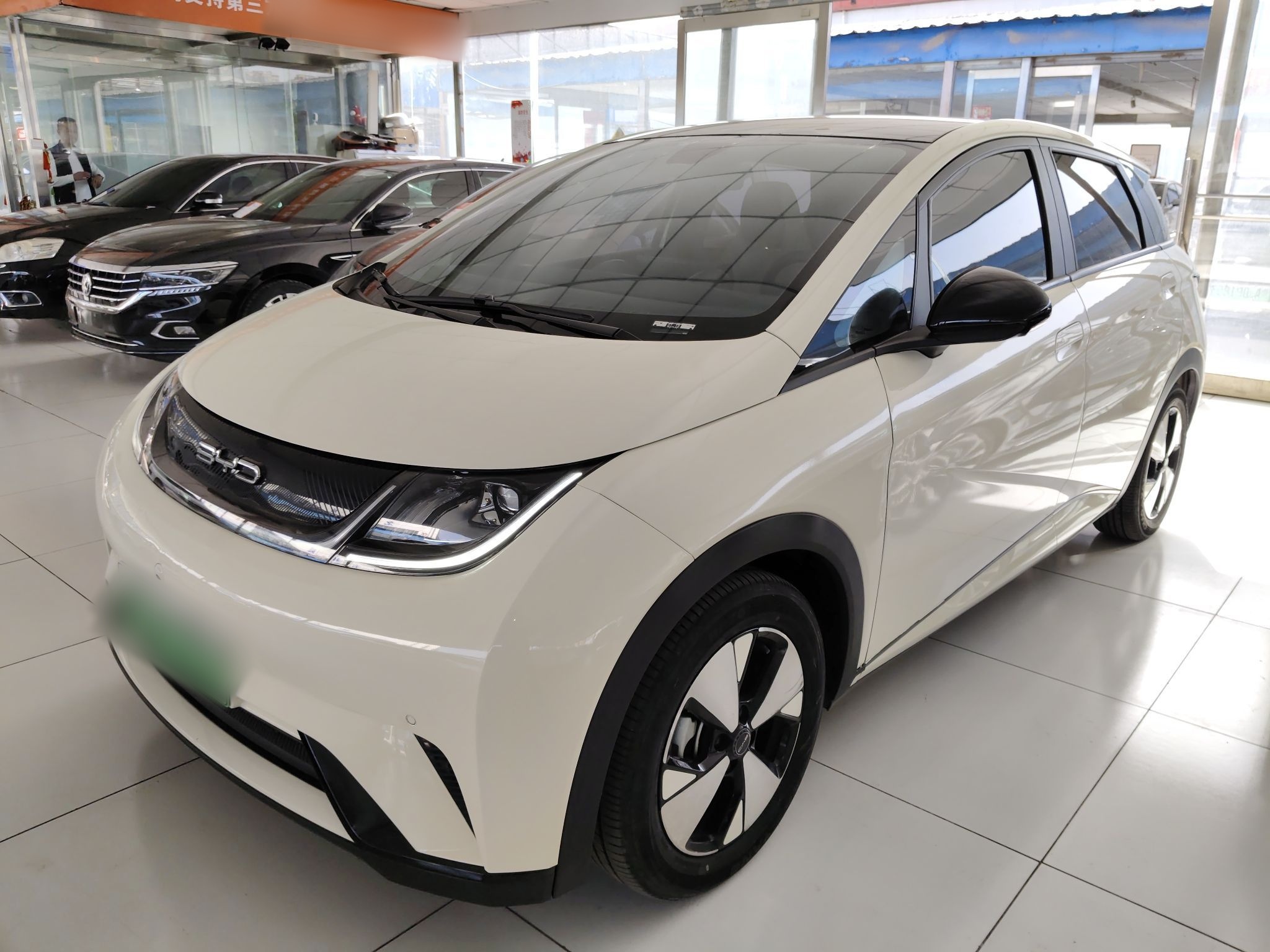 Parte inferior delantera