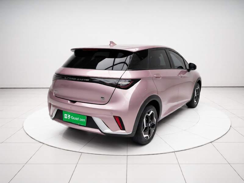 Used BYD Dolphin 2021 405 km Fashion Edition — 6