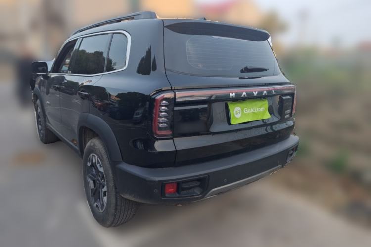 Used Haval DARGO 2024 2.0T DCT Chinese Rural Dog Edition
