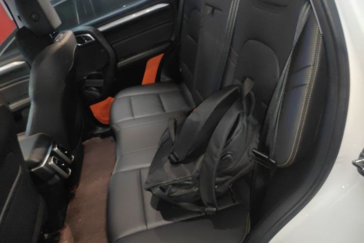 Used Haval DARGO 2022 1.5T DCT Two-Wheel Drive Border Collie Edition Left Rear Seat