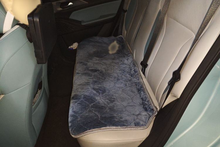 Used Geometry E Firefly 2024 301km Starlight
