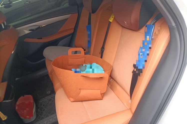 Used VOYAH PASSION 2024 PHEV Four-Wheel Drive Ultra-Long Range Executive Edition Left Rear Seat