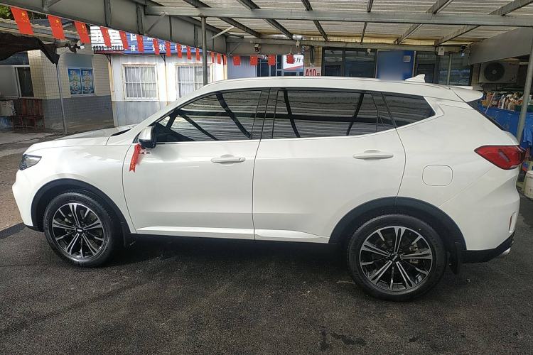 Used Wey VV6 2021 2.0T Two-Wheel Drive Smart Protection+