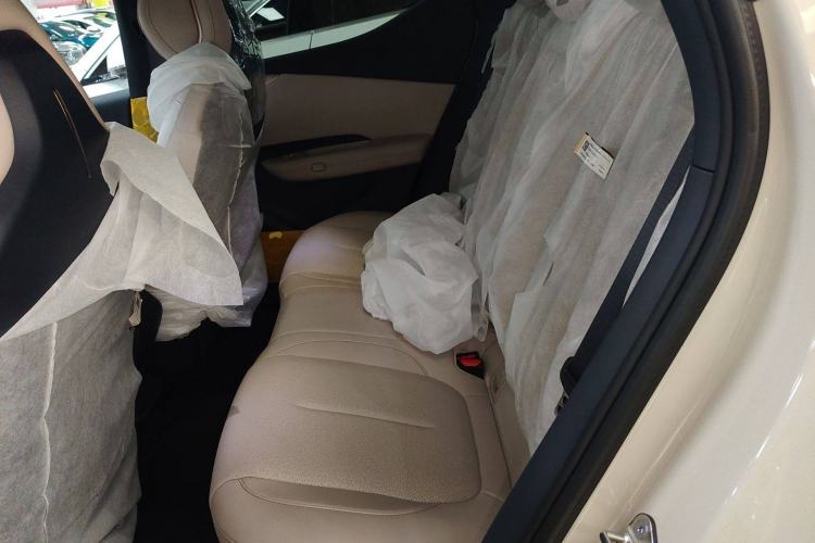 Used Lynk & Co Z20 2025 530 km Range Rear-Wheel Drive Max Left Rear Seat