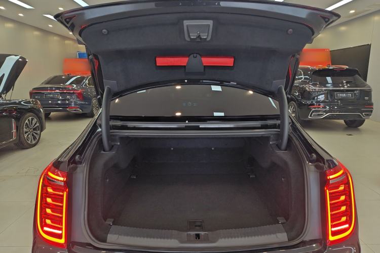 Used Hongqi H9 2020 2.0T Smart Connect Flagship Edition Trunk