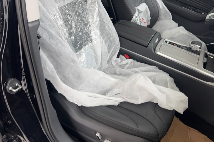 Used Hongqi HS5 2025 2.0T Two-Wheel Drive 600 000-Vehicle Commemorative Edition
