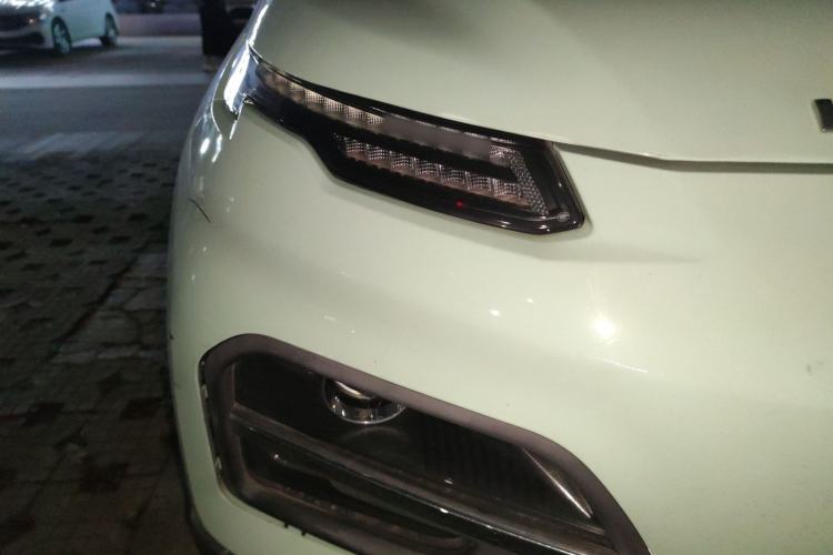 Used Dayun Yuehu 2022 300 Standard Edition
