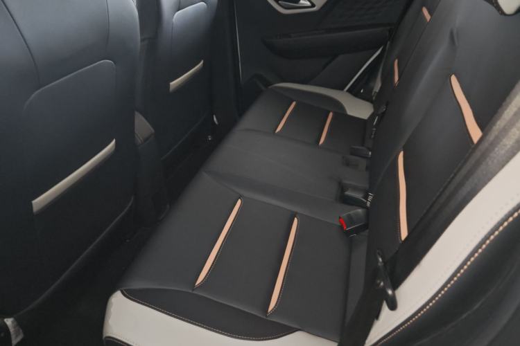 Used SOL E10X 2022 Flower Fairy Style Baby's Breath