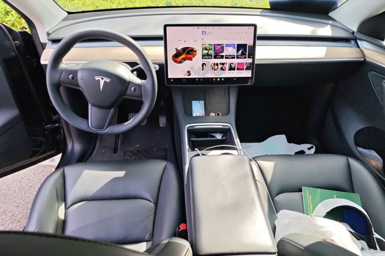 Used Tesla Model Y 2021 Standard Range Rear-Wheel Drive Version
