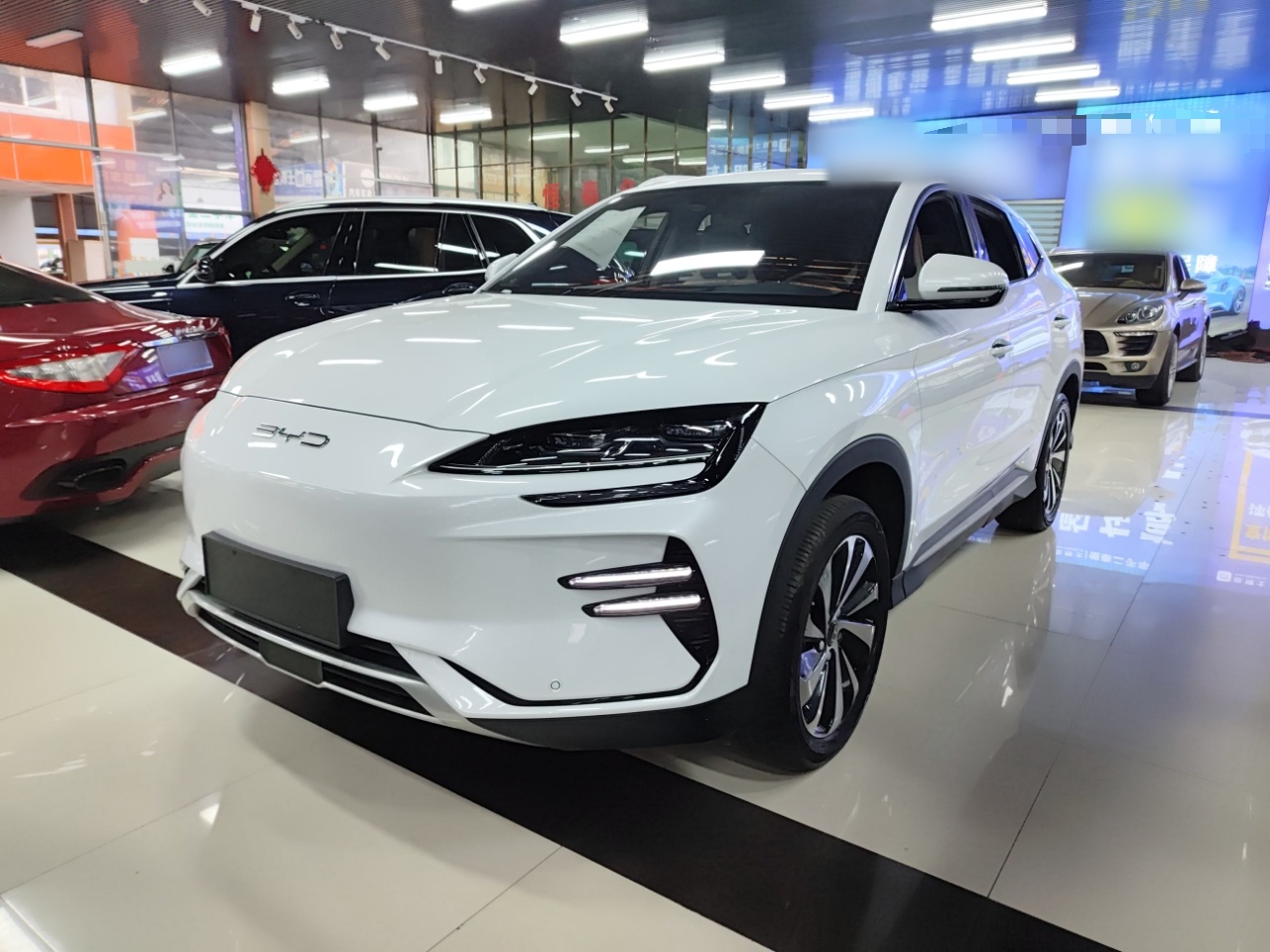 Parte inferior delantera