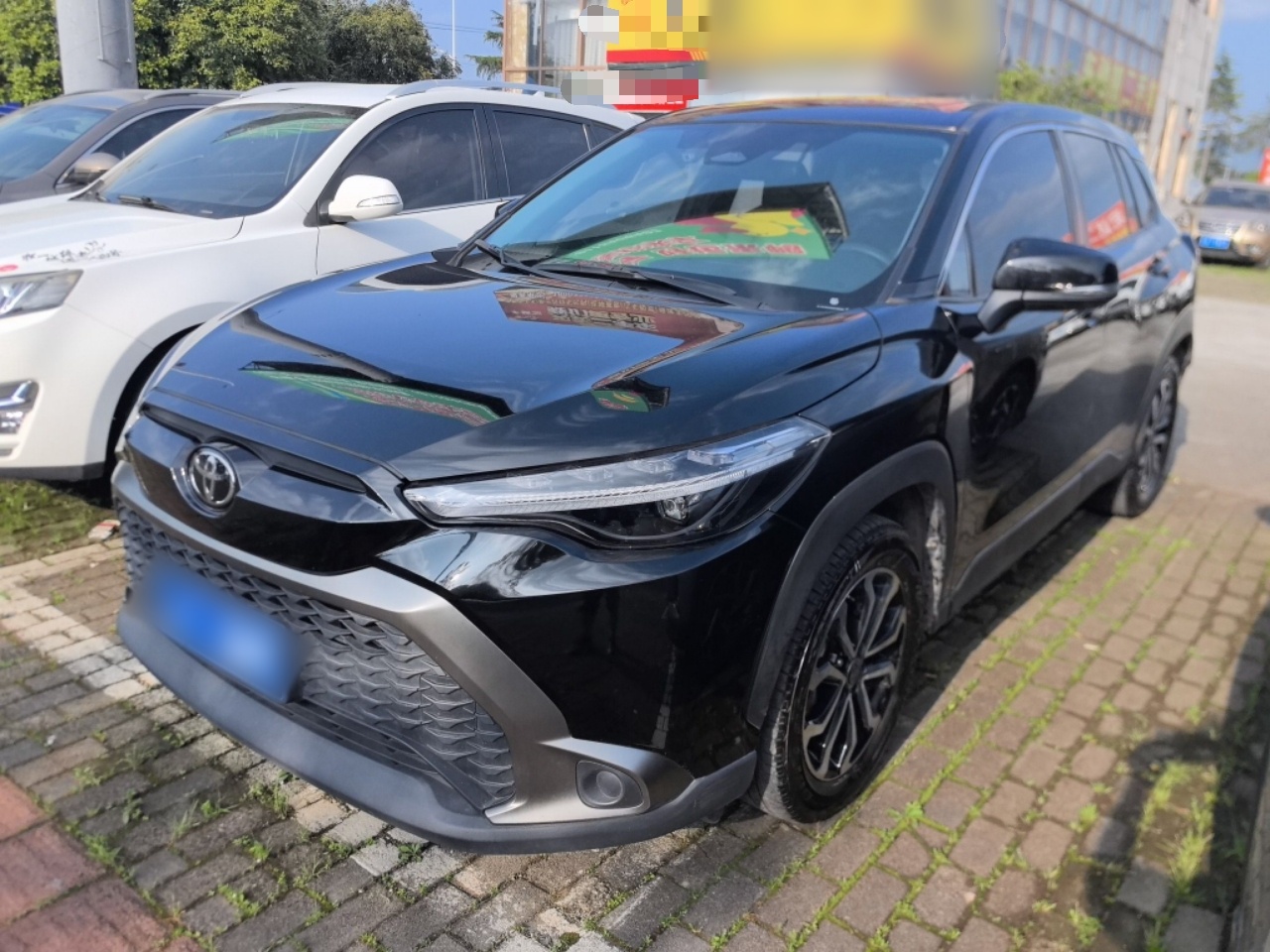 Parte inferior delantera