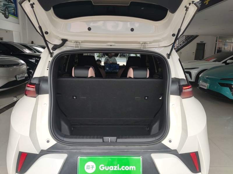 Used BYD Seagull 2025 Smart Drive Version 305 km Freedom Edition — 18