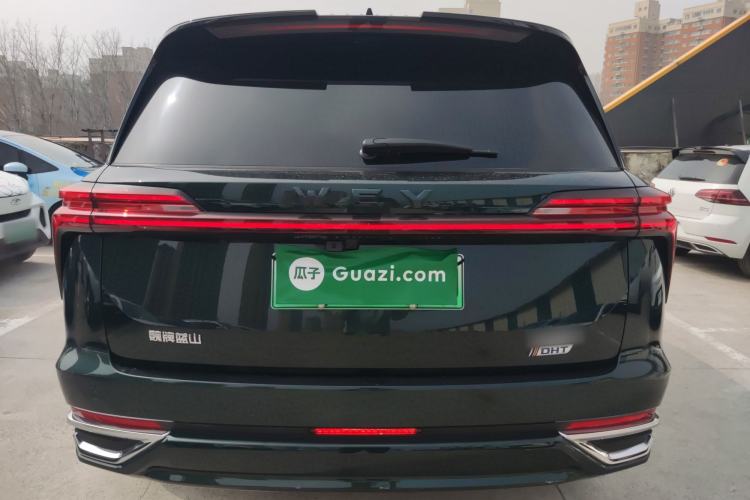 Used Wey Lanshan 2023 Four-Wheel Drive Ultra-Long Range Version