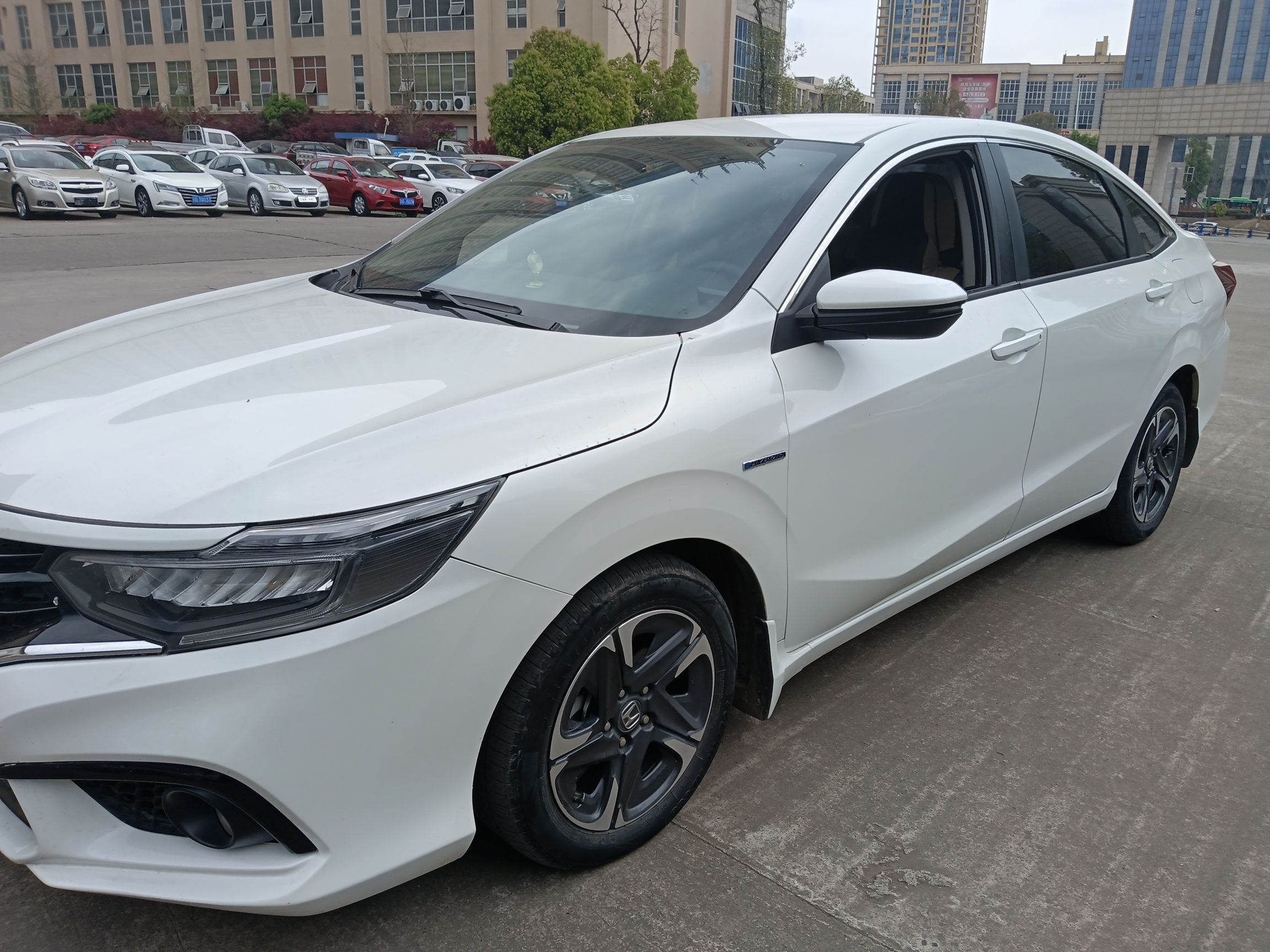 Parte inferior delantera