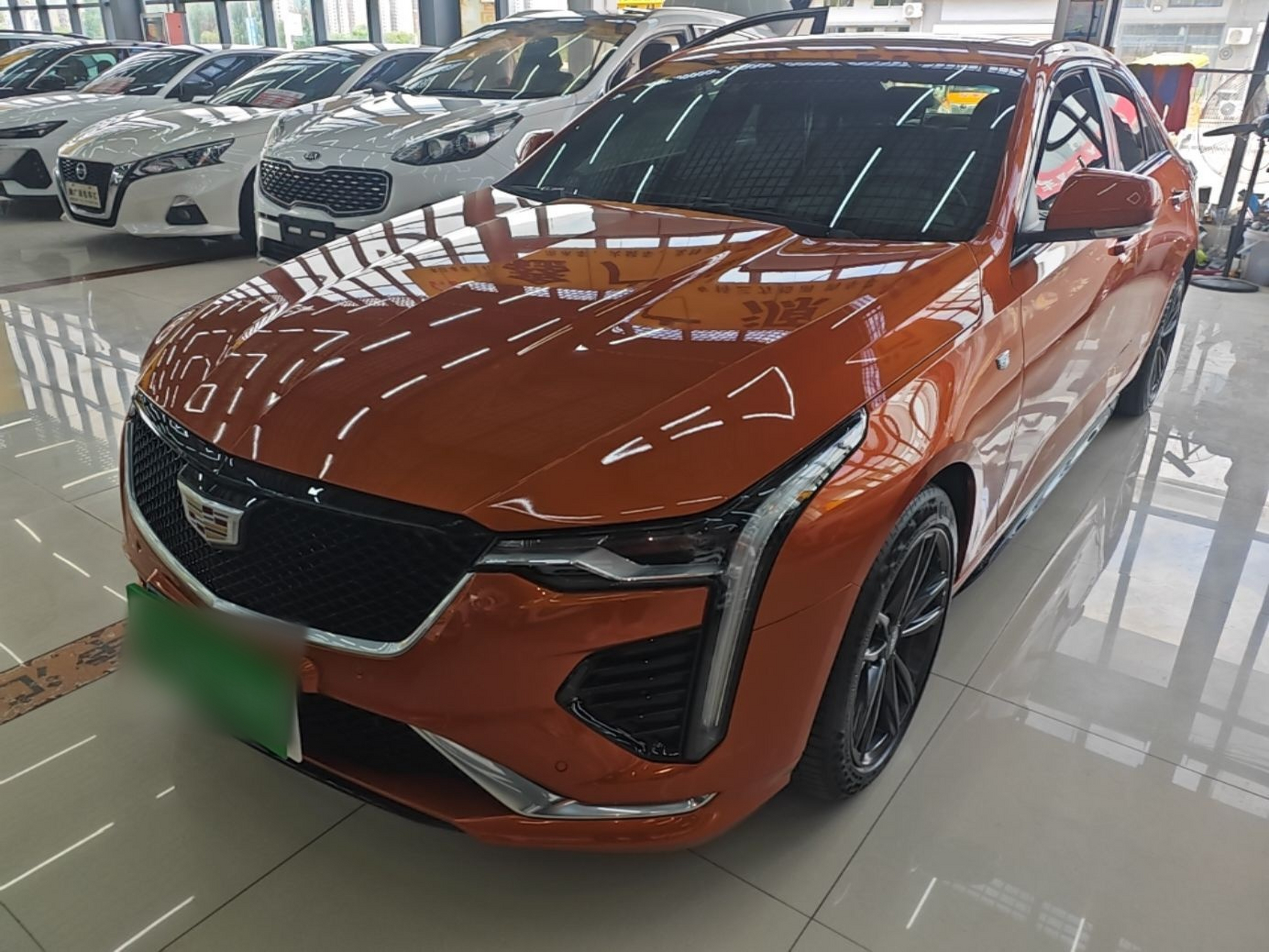 Under Front Bumper
