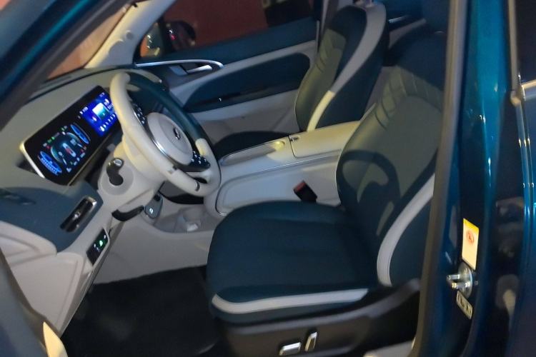 Used ORA Good Cat 2023 401 km Standard Range Luxury Version Lithium Iron Phosphate
