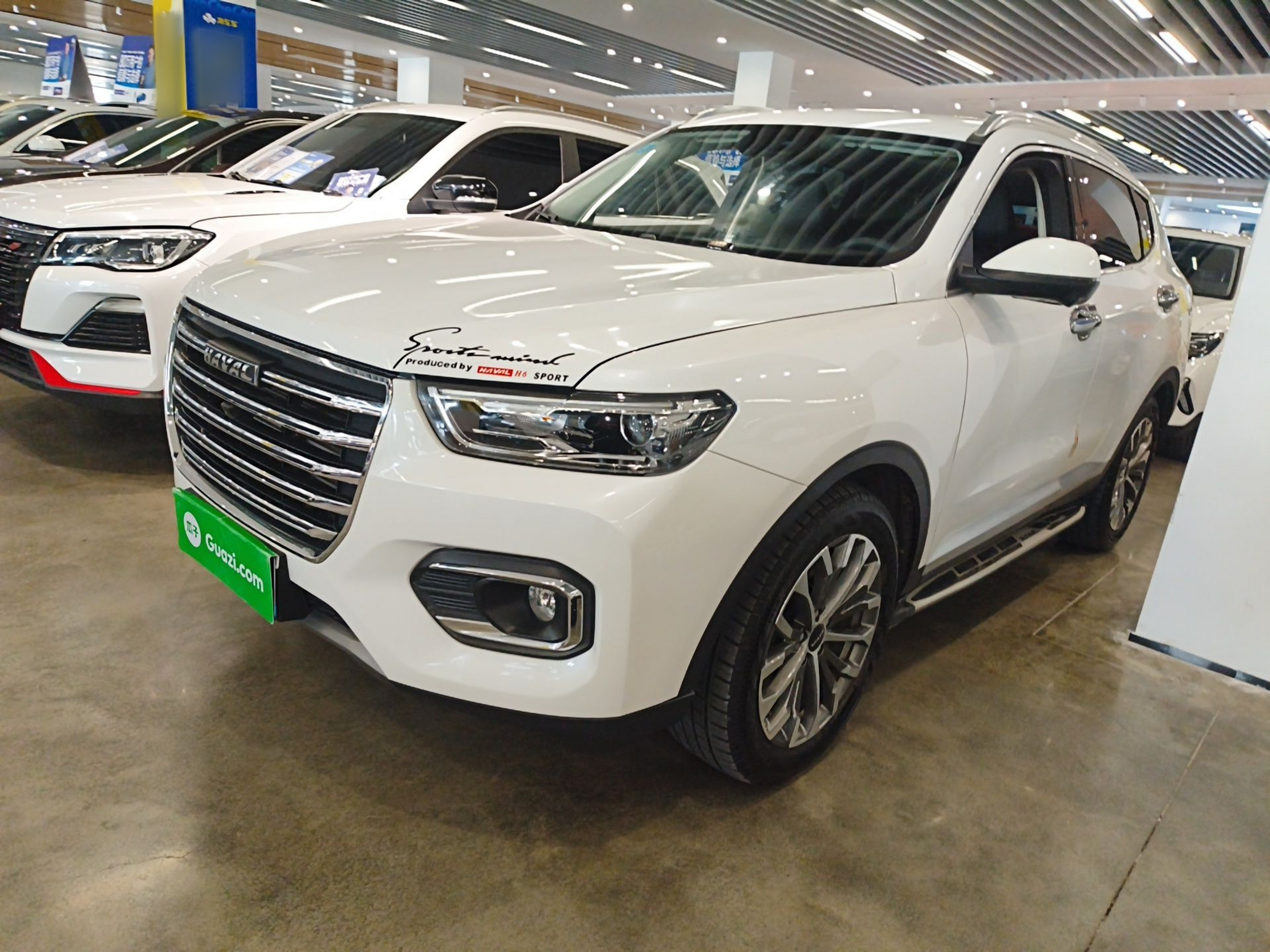 Parte inferior delantera