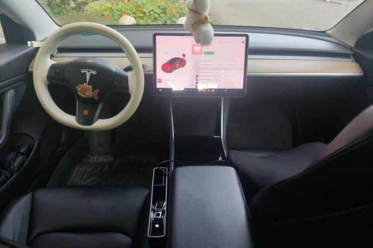 Used Tesla Model 3 2019 Long-Range Rear-Wheel-Drive Version