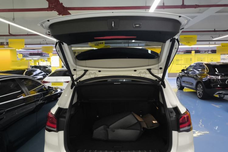 Used BMW X1 2020 sDrive20Li Premium Edition
