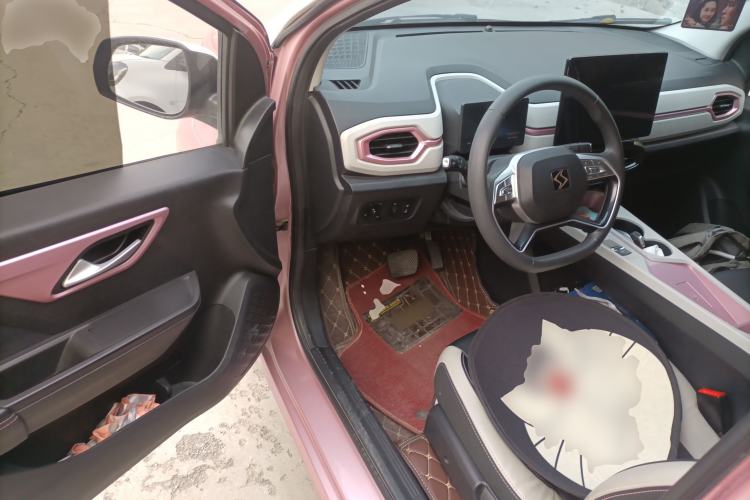 Used SOL E10X 2022 Flower Fairy Design Four-Leaf Clover