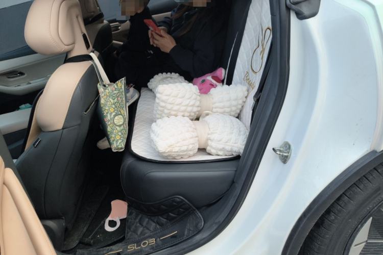 Used Deepal SL03 2022 1.5L 1200 Extended-Range Version Left Rear Seat