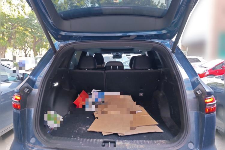 Used Geely Auto Monjaro L 2021 2.0TD DCT EVO Two-Wheel-Drive Flagship Version