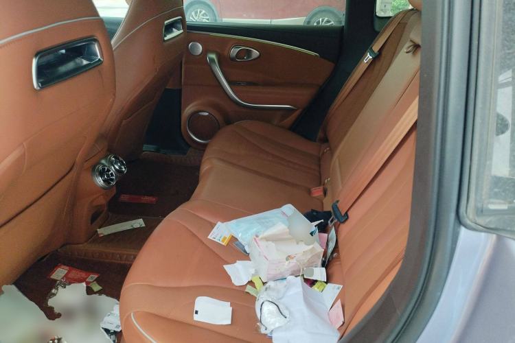 Used ORA Lightning Cat 2022 555 km Luxury Edition
