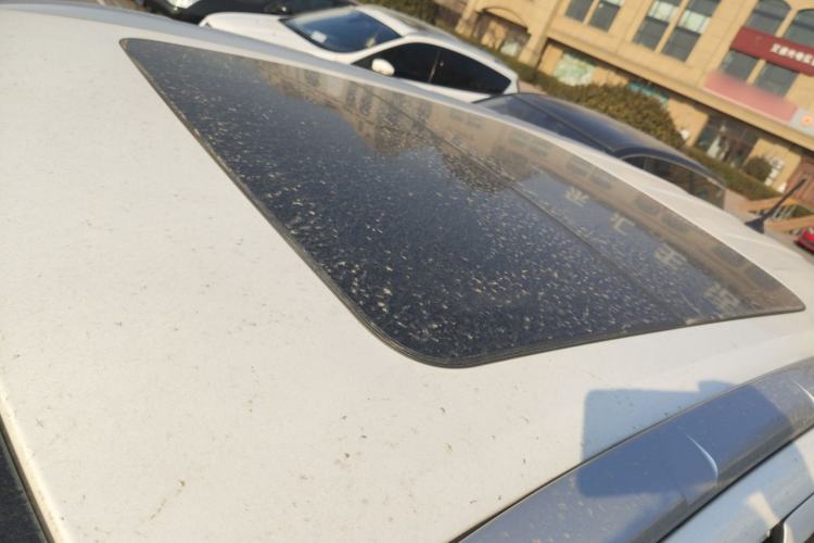 Used Ford Everest 2017 2.0T Gasoline Automatic 4x4 Flagship Edition 7 Seats
