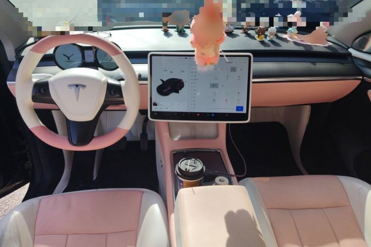 Used Tesla Model Y 2021 Standard Range Rear-Wheel Drive Version