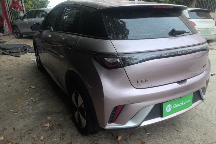 Used BYD Dolphin 2023 420 km Free Version Rear Left 45 Deg