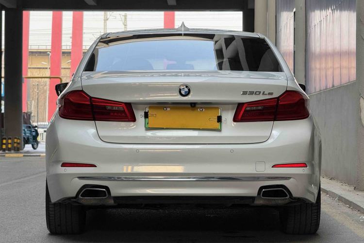 Used BMW 5 Series New Energy 2019 530Le Luxury Package