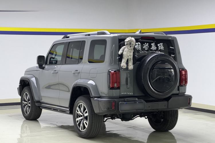 Used Tank 300 2023 City Edition 2.0T—Stylish as Ever