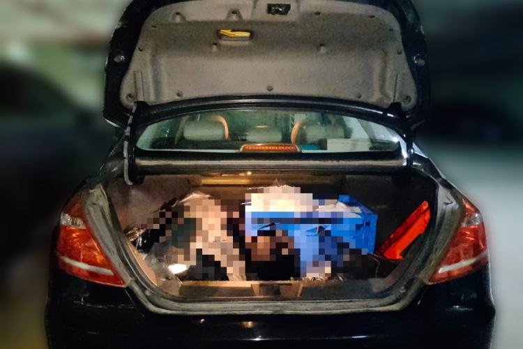 Used Geely Auto Emgrand 2014 Sedan 1.5L CVT Elite Model
