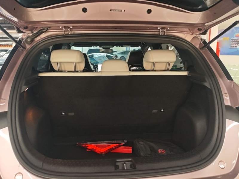Used BYD Dolphin 2021 405 km Fashion Edition — 18