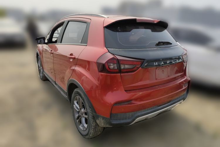 Used Livan Maple 30X 2020 Style Edition Exterior 2