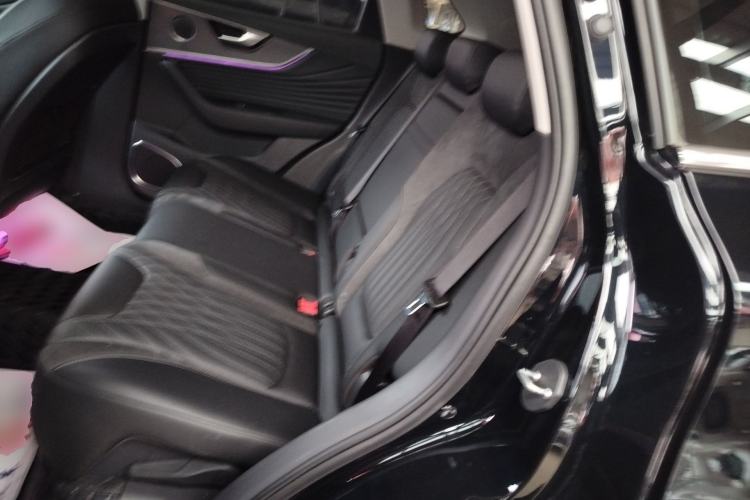 Used Hongqi HS5 2023 2.0T Four-Wheel Drive Flagship Pro Edition Left Rear Seat