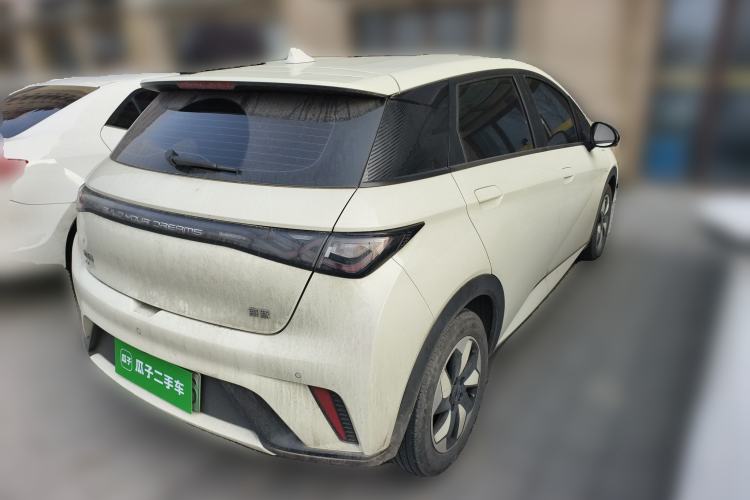 Used BYD Dolphin 2025 420km Free Edition
