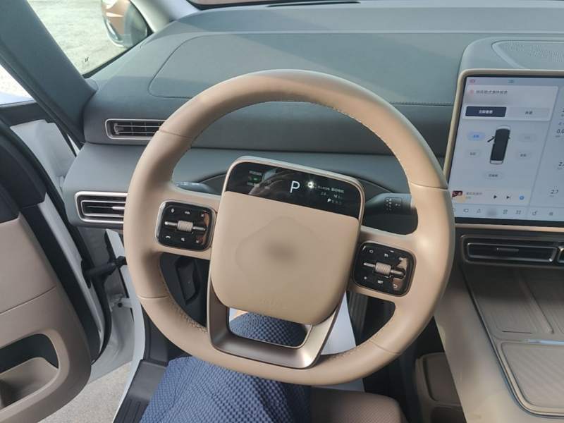 Used Li Auto MEGA 2025 Home Family Special Edition — 10