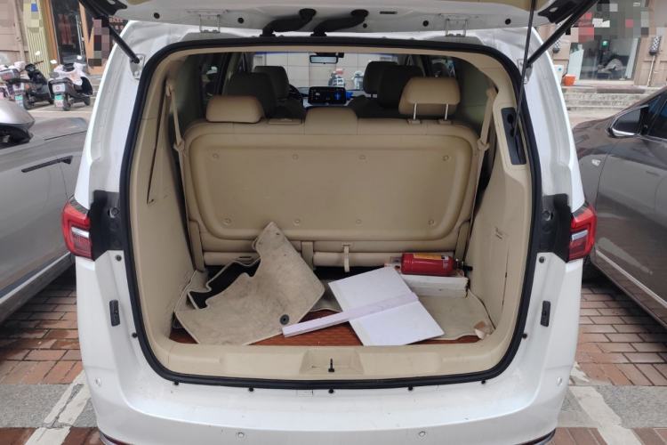 Used Buick GL8 2023 Land Executive Class Deluxe Model