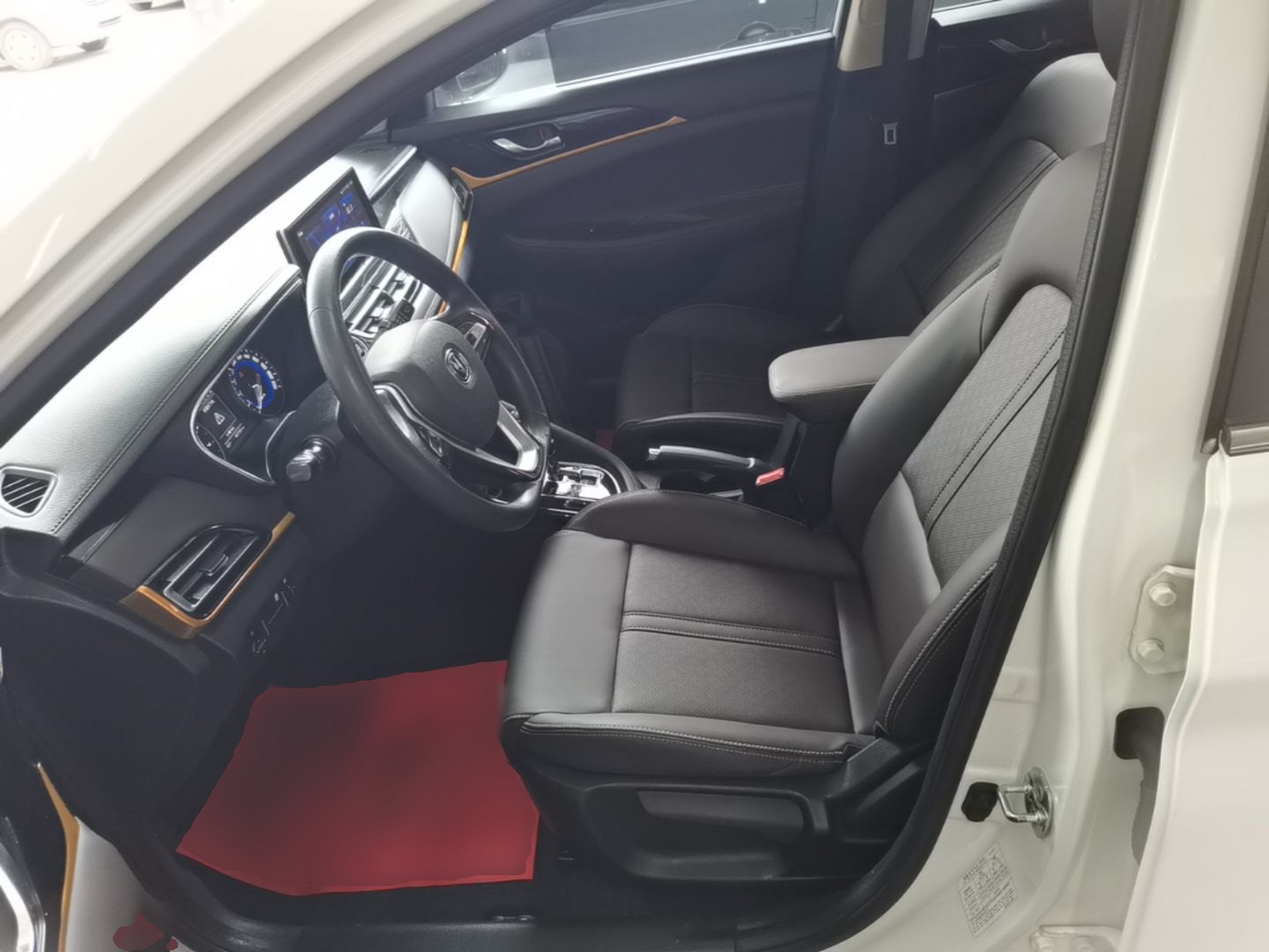 Interior delantero