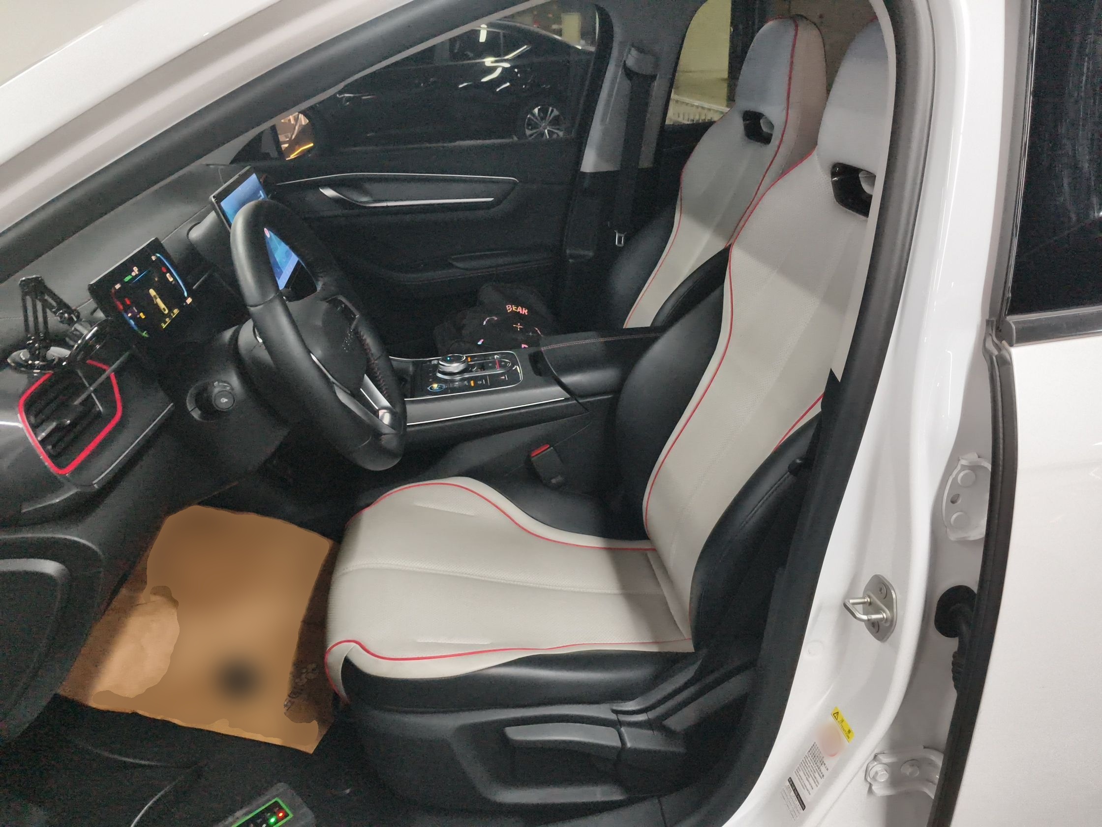 Interior delantero
