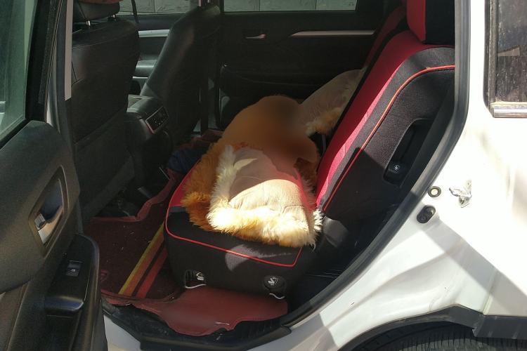 Used Toyota Highlander 2015 2.0T Four-Wheel Drive Luxury Edition 7-Seater Left Rear Seat