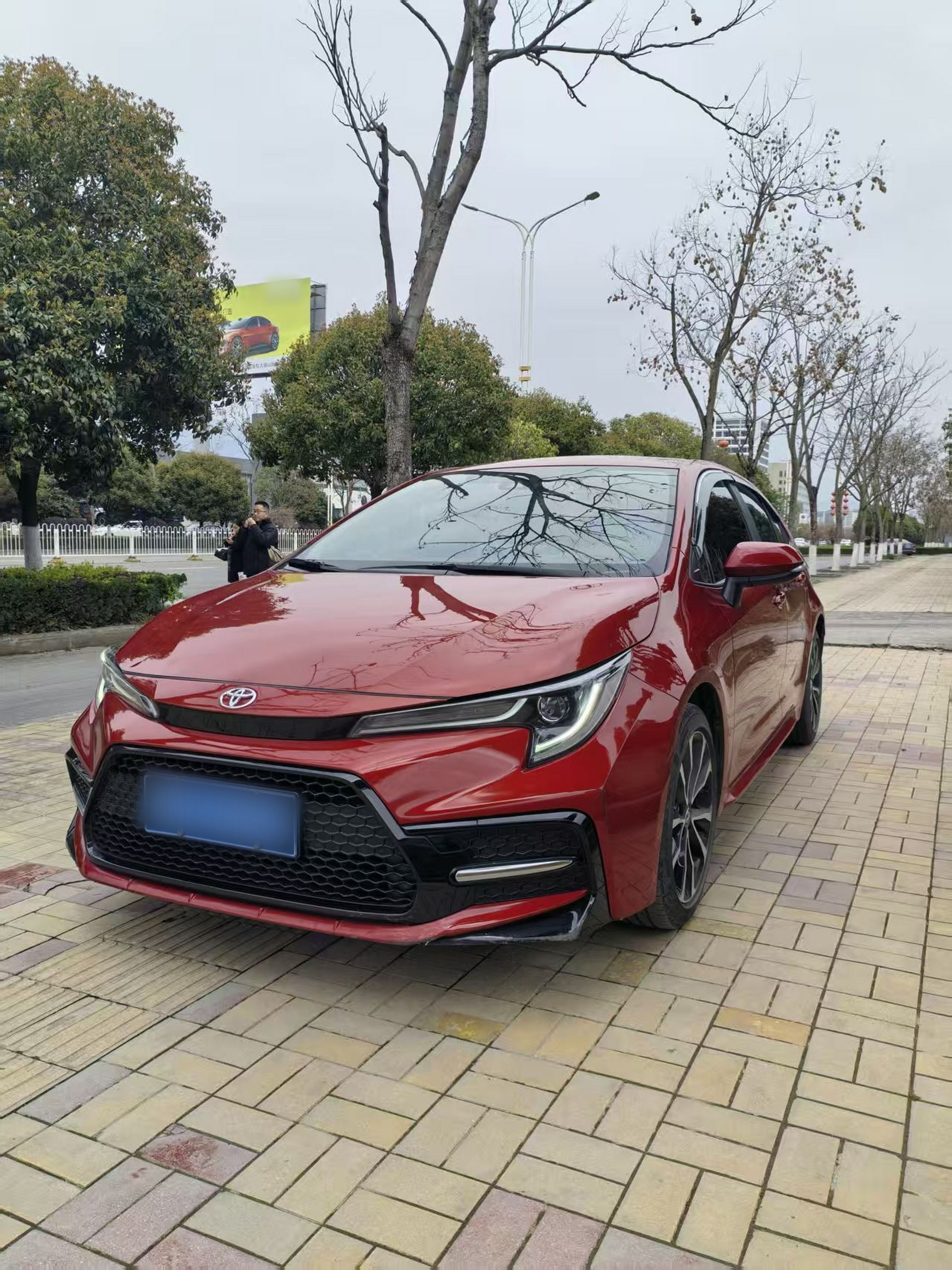 Parte inferior delantera