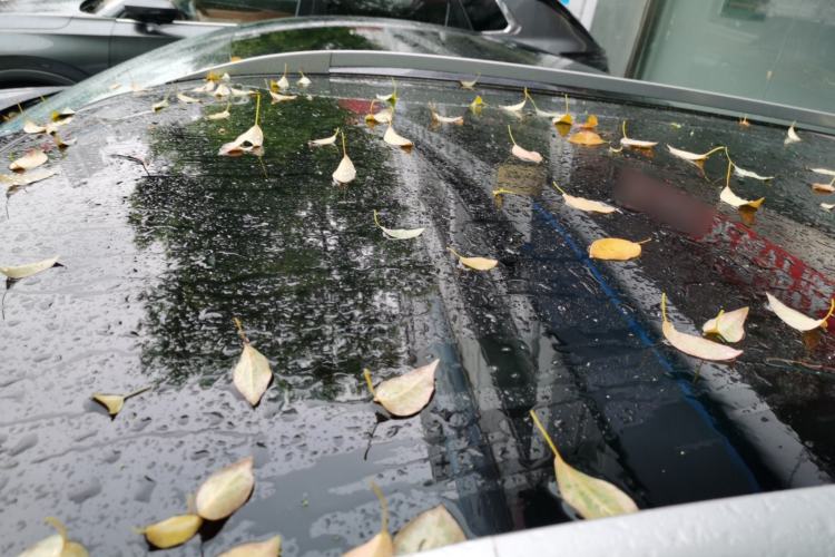 Used Nissan Qashqai 2017 2.0L CVT Luxury Edition China V Standard
