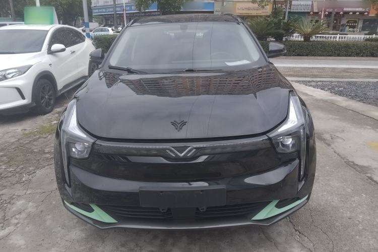 Used NETA U 2022 NETA U-Ⅱ 400 Lite Lithium Iron Phosphate