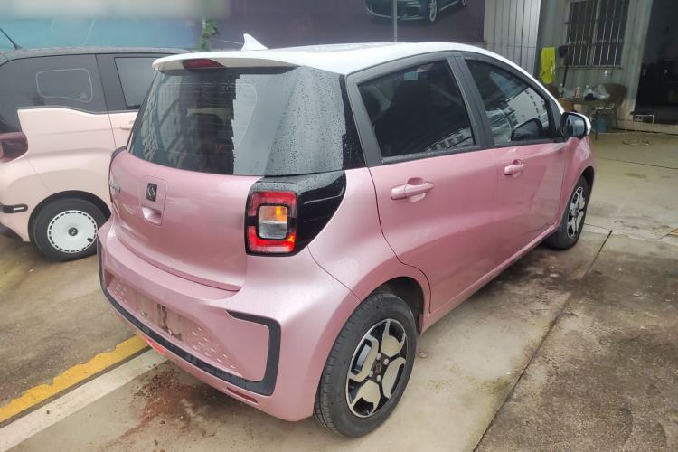 Used SOL E10X 2022 Flower Fairy Design Four-Leaf Clover
