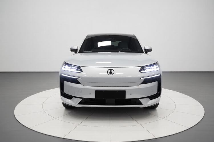 Used Denza N9 2025 Prestige Version