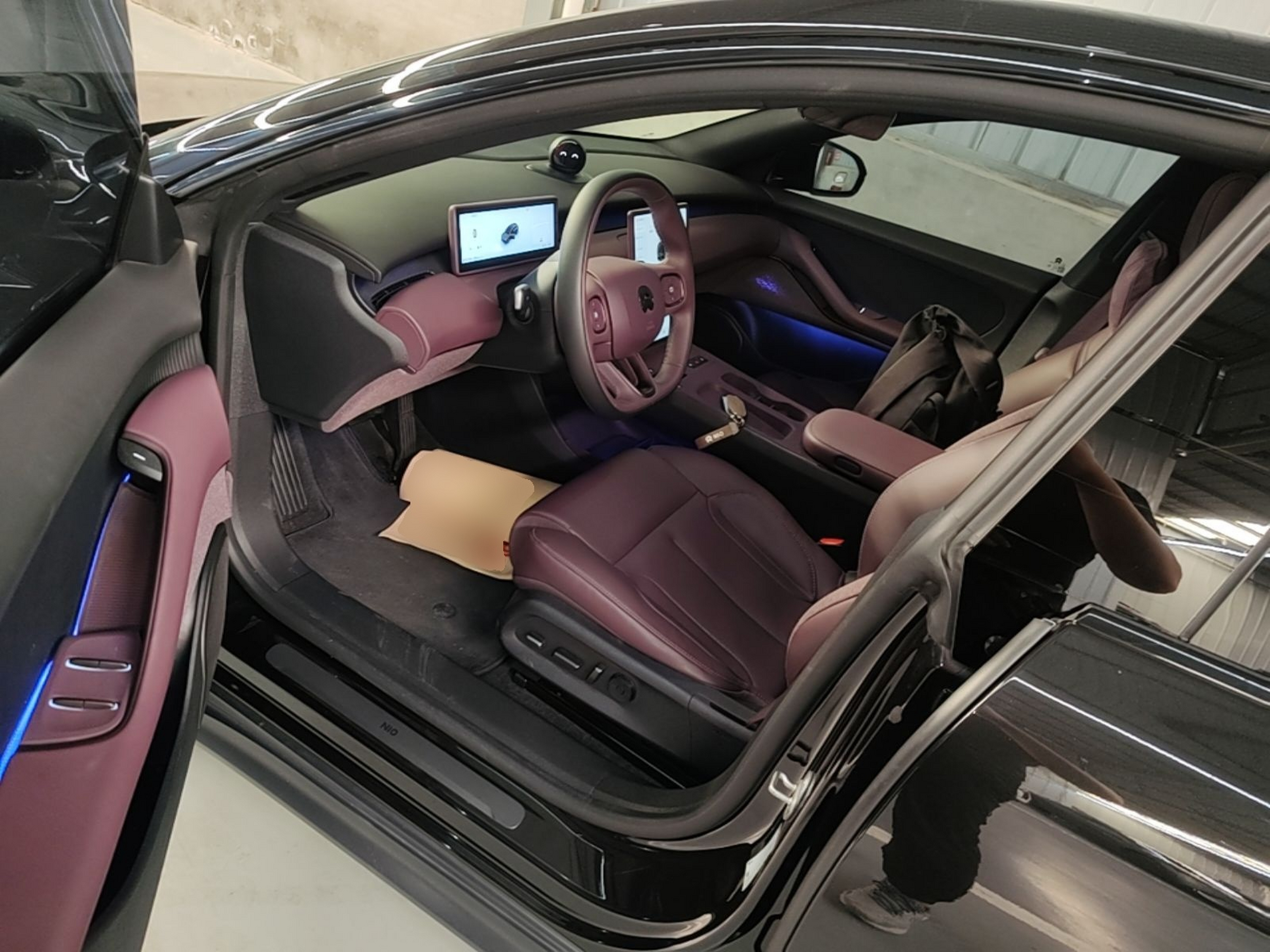 Interior delantero